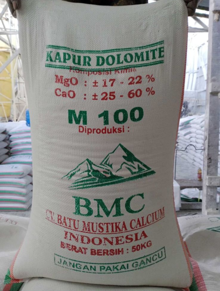Dolomite M100 BMC